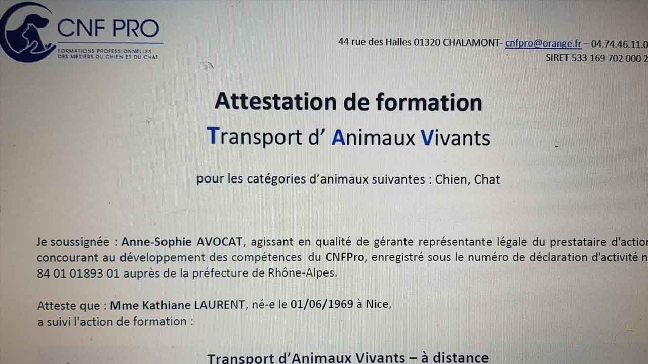 Formation en continu dans un désir d'amélioration constant.