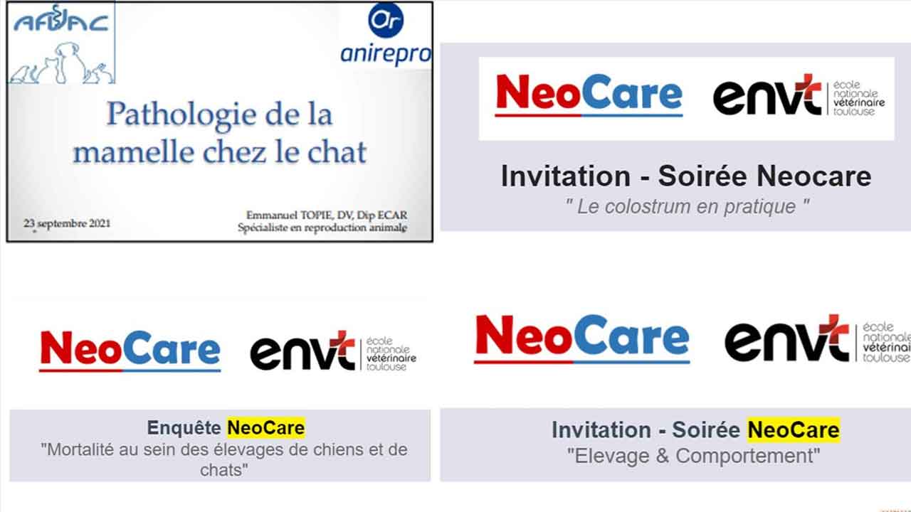 #Parasites, #colostrum, #comportement, #mortalité, #transport d'animaux vivants, # approche de la naturopathie animale #naturothérapie #comptabilité en élevage...