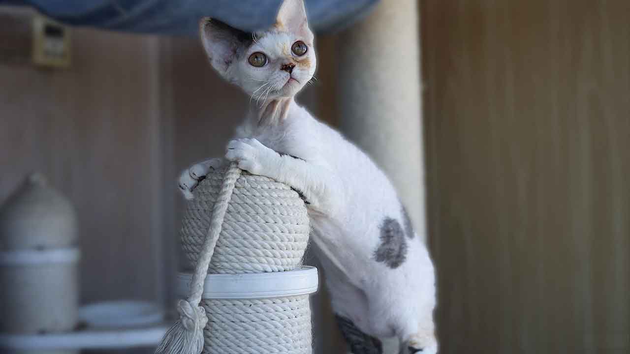 515983262_2612775349063526_8157596604289263993_n