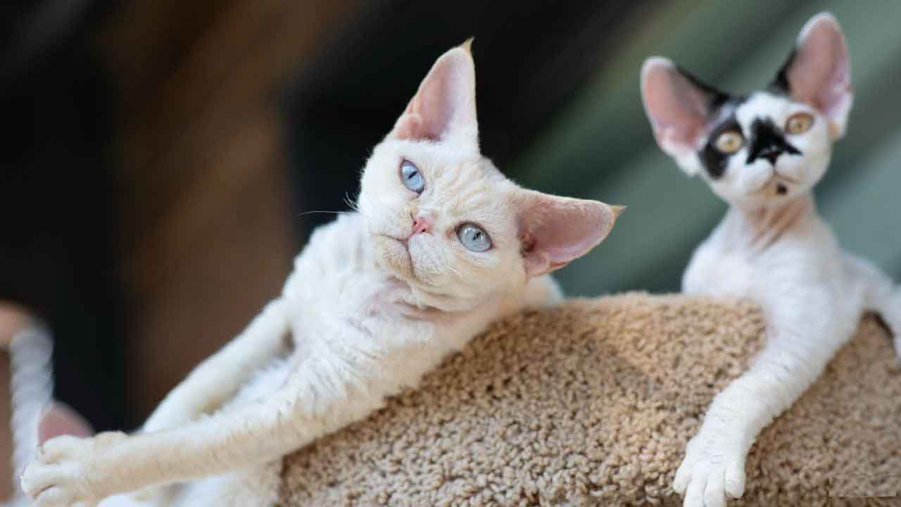 532953765_3651875594943358_1509986495061412286_n